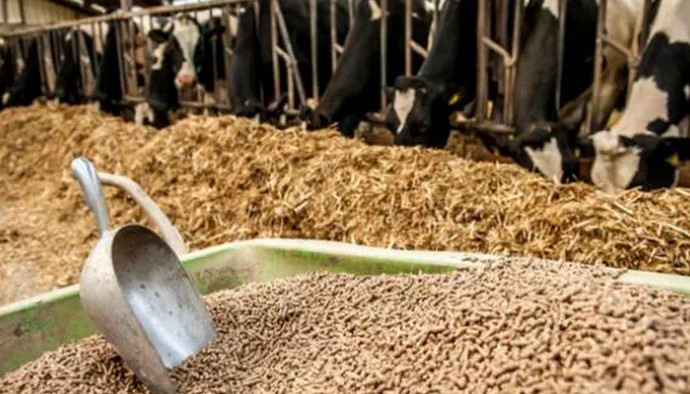 Премікс для корів, що таке, склад і корисні властивості, як застосовується - Сучасне тваринництво